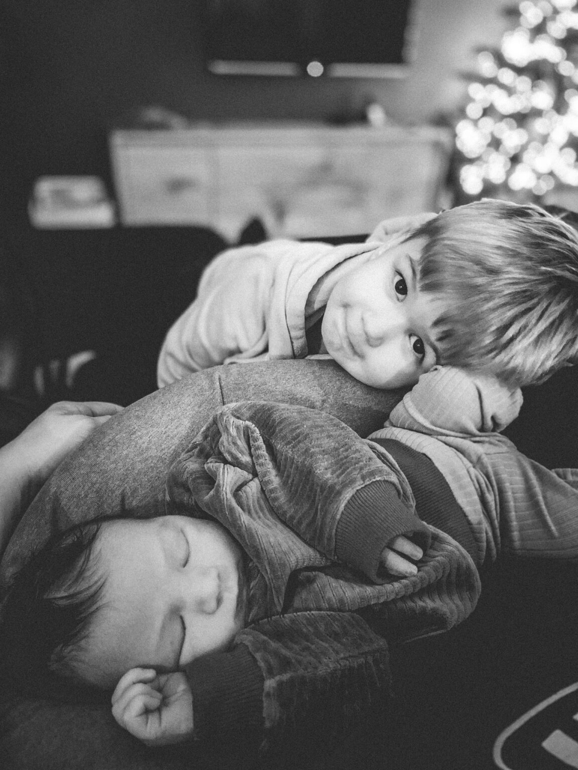 20240111 jasperimg 6823