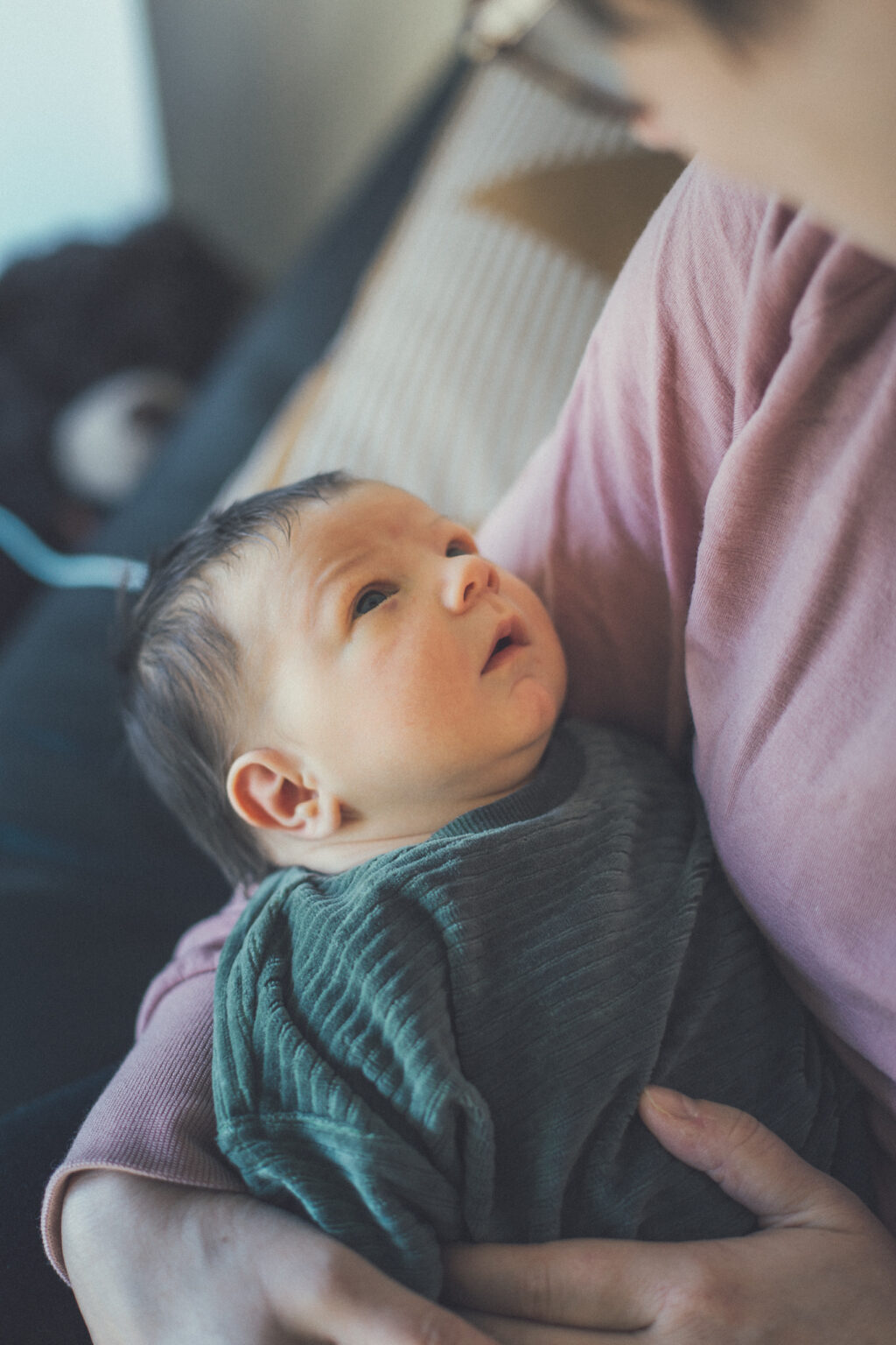 20240111 jasper mg 5243