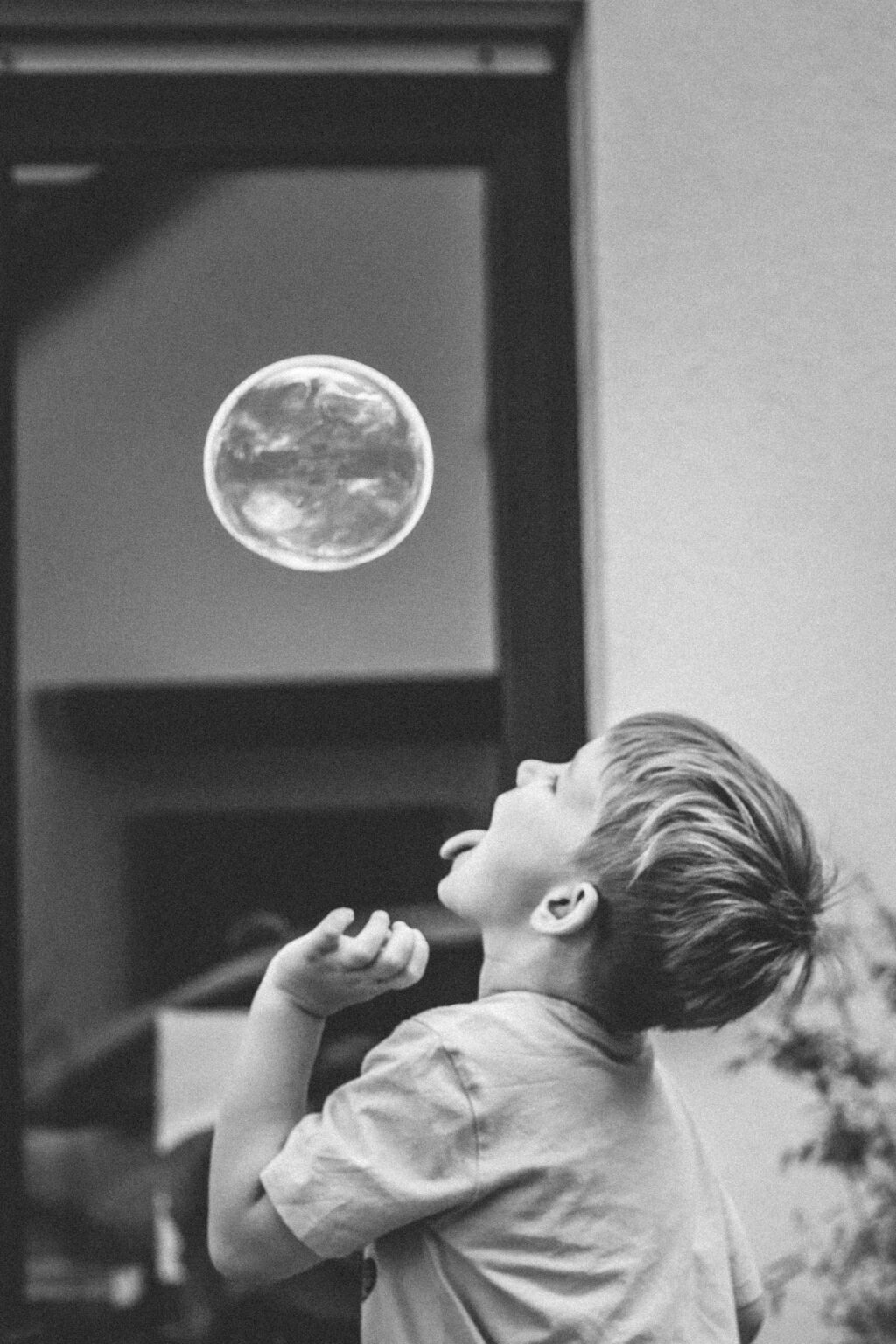 20250827 zuhause mg 7491