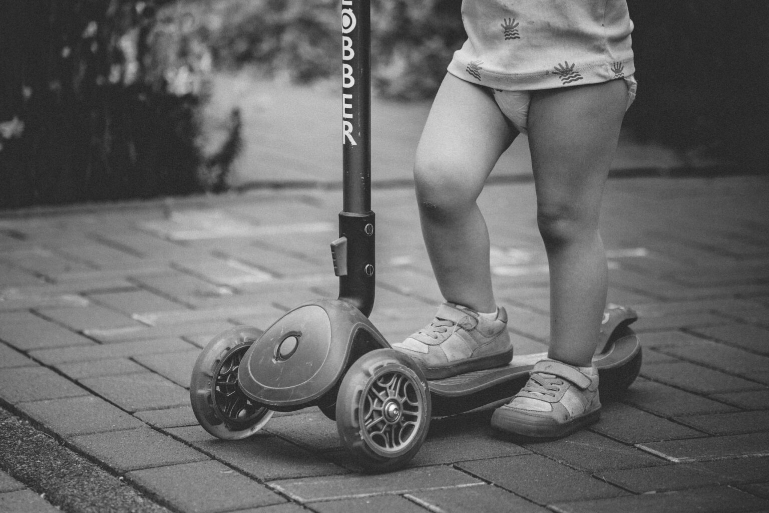 20250827 zuhause mg 7565