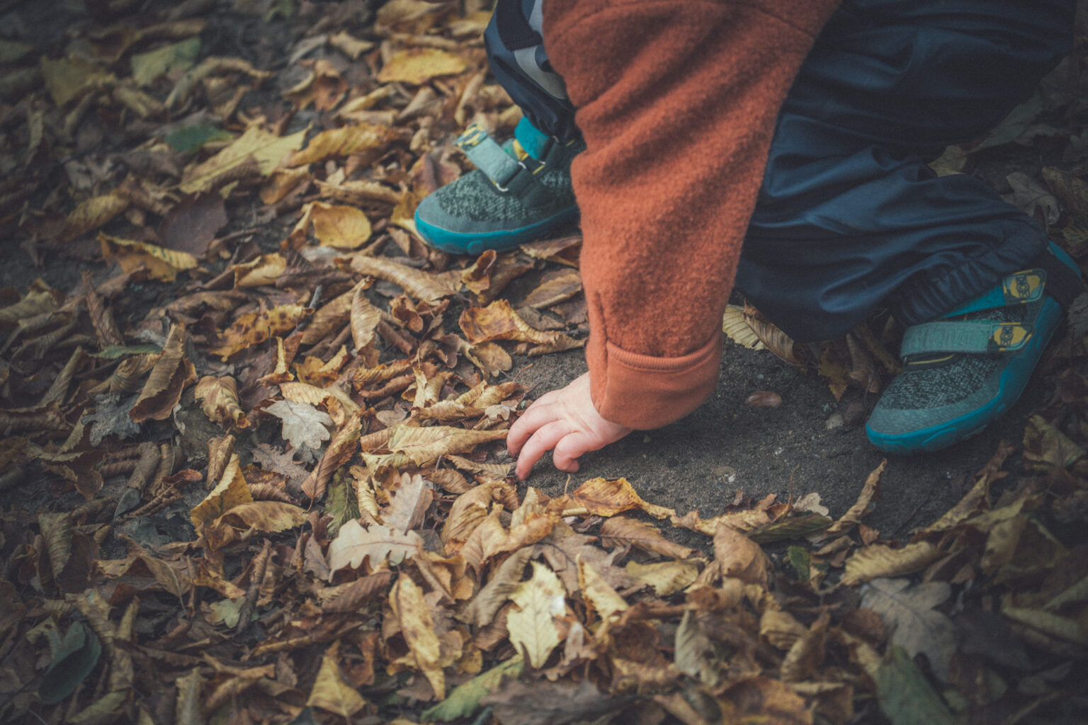 20251019 duennwald mg 8724