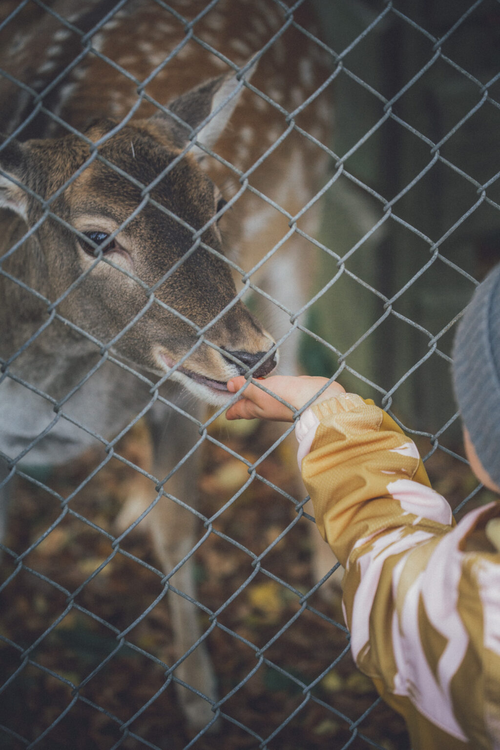 20251019 duennwald mg 8932