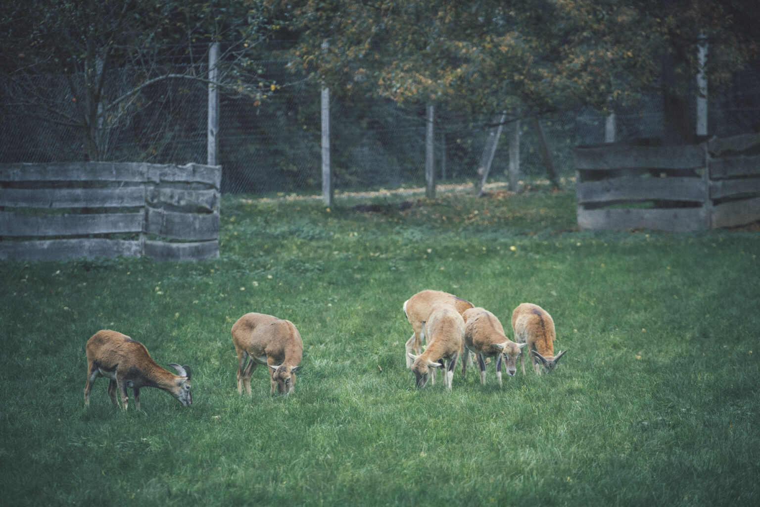 20251019 duennwald mg 9143