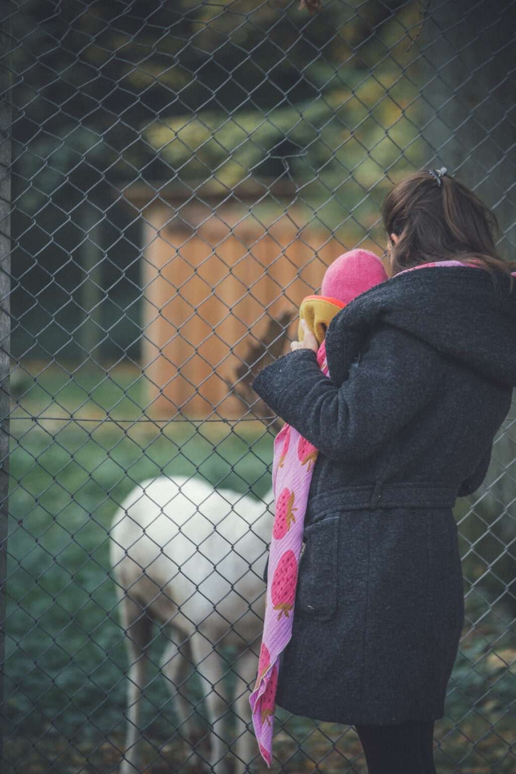 20251019 duennwald mg 9517