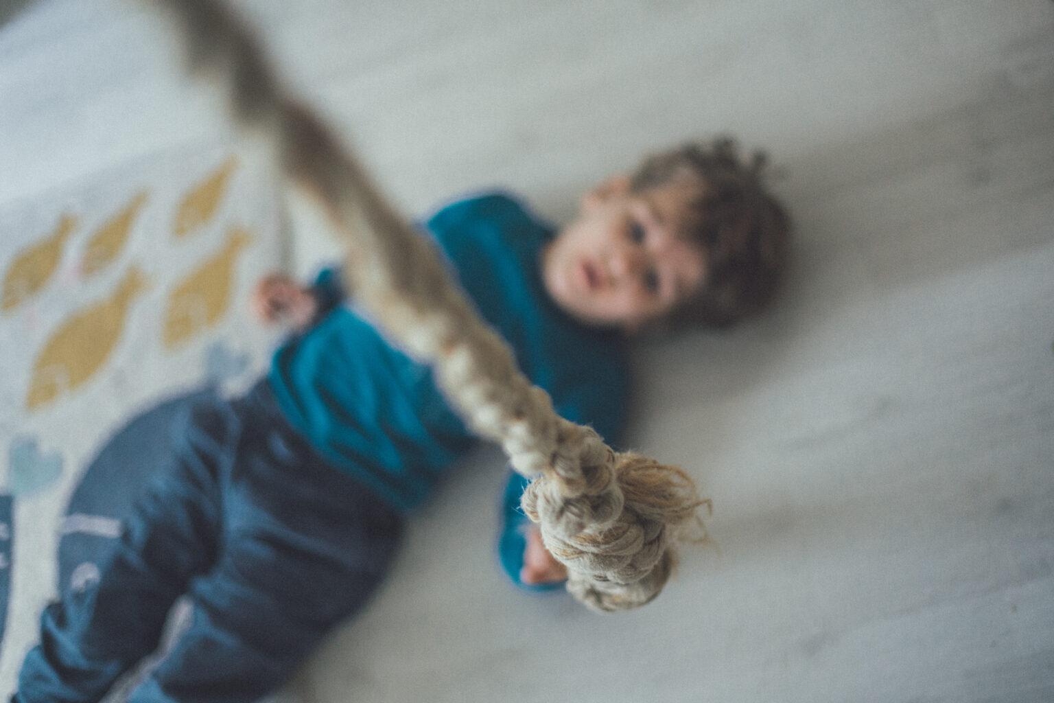 Home 20251024 katha 1127