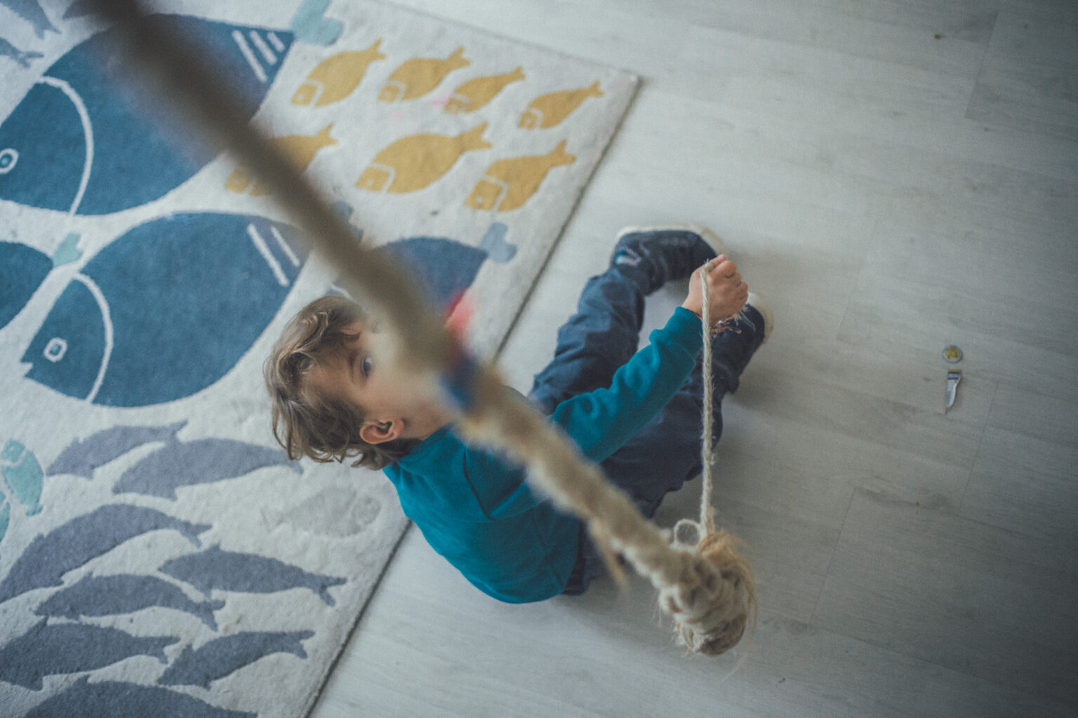 20251024 katha mg 0083