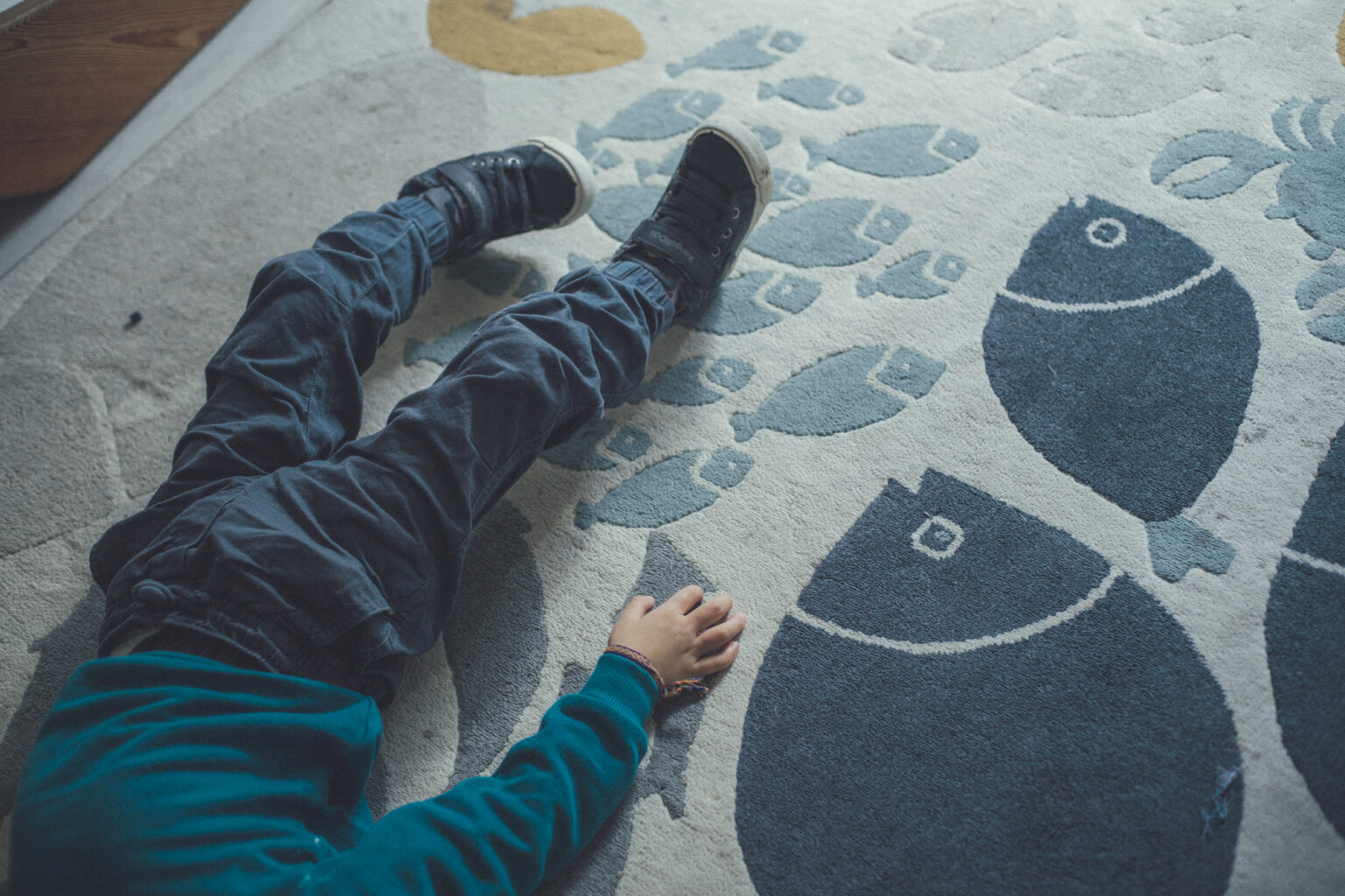 Home 20251024 katha mg 0121