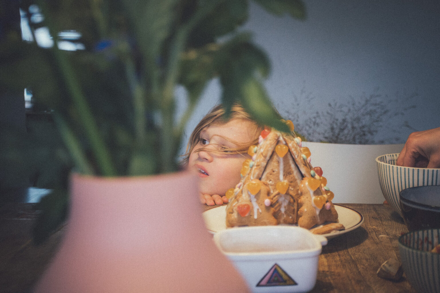 20251024 katha mg 0224