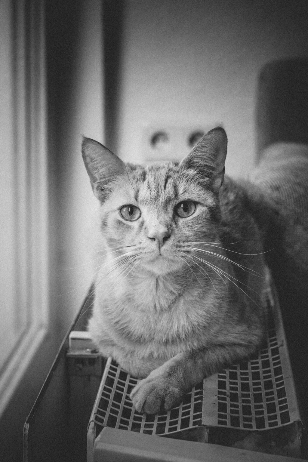 20251024 katha mg 9980